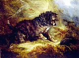 George Armfield A Terrier and a Hedgehog painting